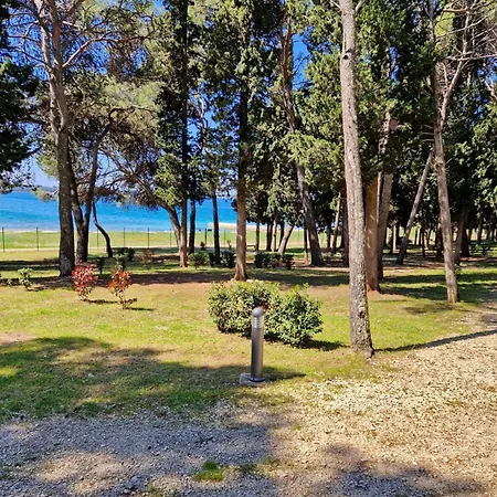 Mobile Homes Kamp Pineta *