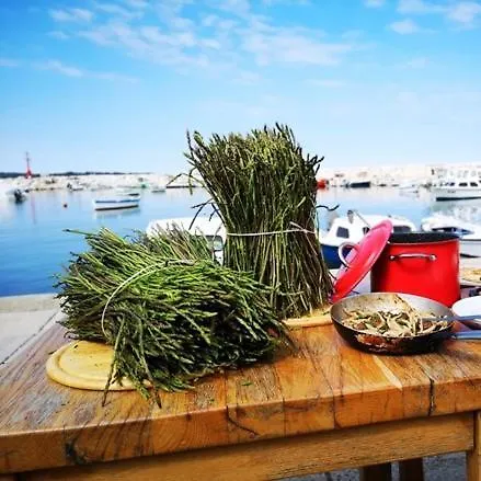 Campingplads Mobile Homes Kamp Pineta