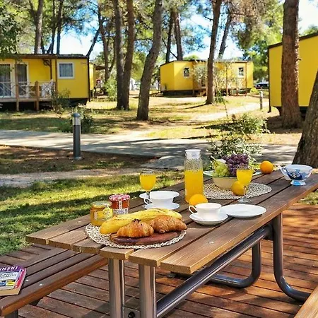 Mobile Kamp Pineta - Ib Kamp alanı *