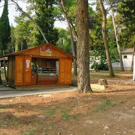 Mobile Kamp Pineta - Ib Kamp alanı